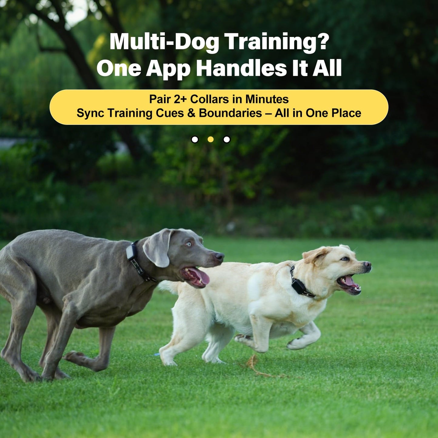 GPS Wireless Dog Collar Fence System