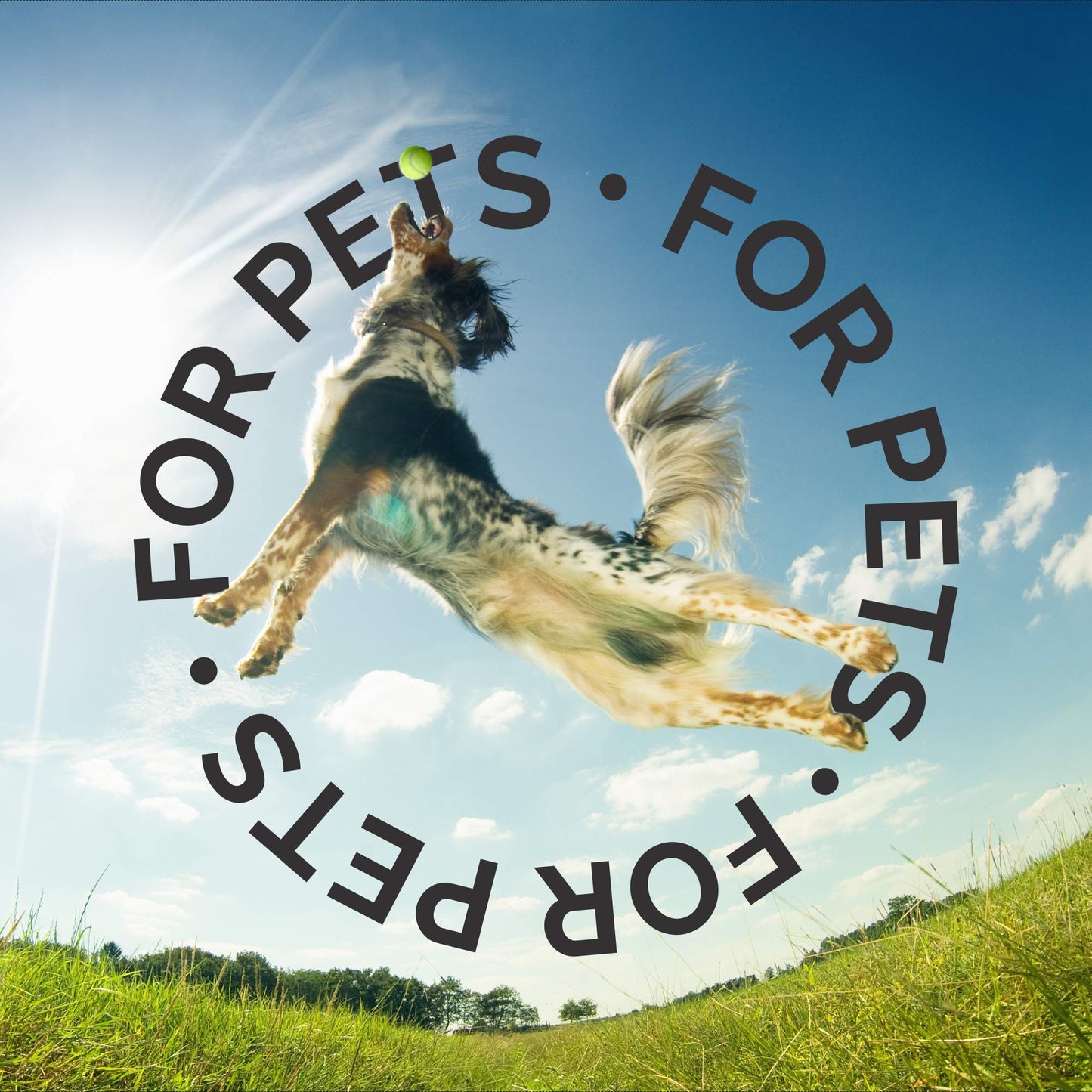 Natural Dog Shampoo for Skin & Coat Care