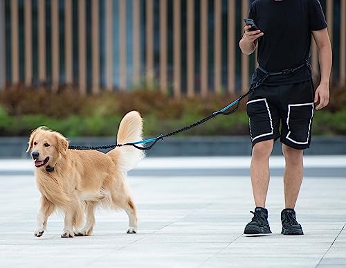 Hands-Free Dog Leash with Storage Pouch