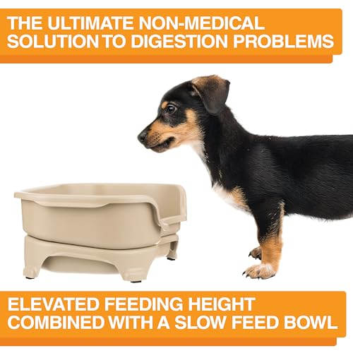 Neater Feeder - Express Model - Mess-Proof Cat & Dog Bowls – Made in USA – Elevated, No Spill, Non-Tip, Non-Slip, Raised Stainless Steel Food & Water Pet Bowls