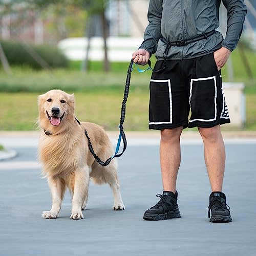 Hands-Free Dog Leash with Storage Pouch