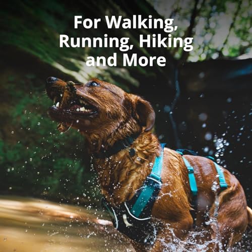 Lightweight Reflective Dog Harness for Hiking & Running