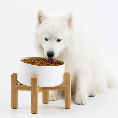 Petygooing Raised/Elevated 15°Slanted Ceramic Dog Bowl with Wooden Stand,Tilted Anti Slip Pet Feeding Bowl,Bulldog Food Water Dish for Cats and Small Medium Large Breeds