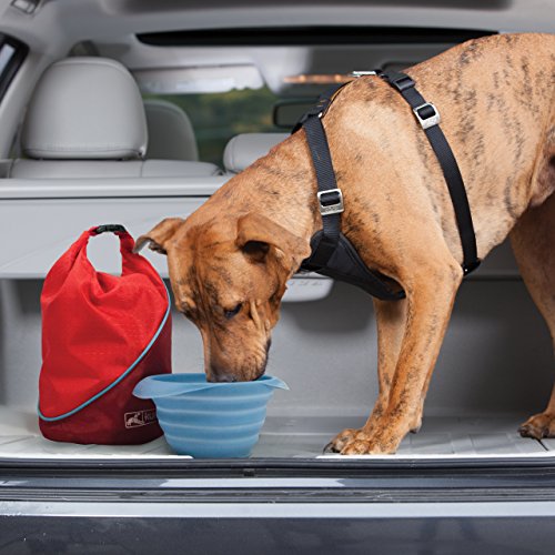 Foldable Dog Food Travel Container for Camping & Trips