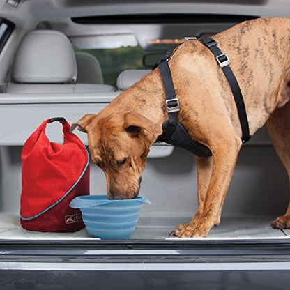 Foldable Dog Food Travel Container for Camping & Trips