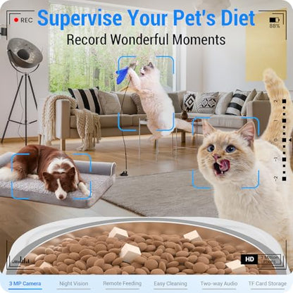 Frienhund Automatic Cat Feeder: Automatic Dog Feeder-7L Auto Cat Food Dispenser