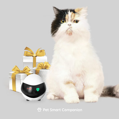 Enabot EBO SE Home Robot Camera: 1080P Mobile FamilyBot Pet Companion