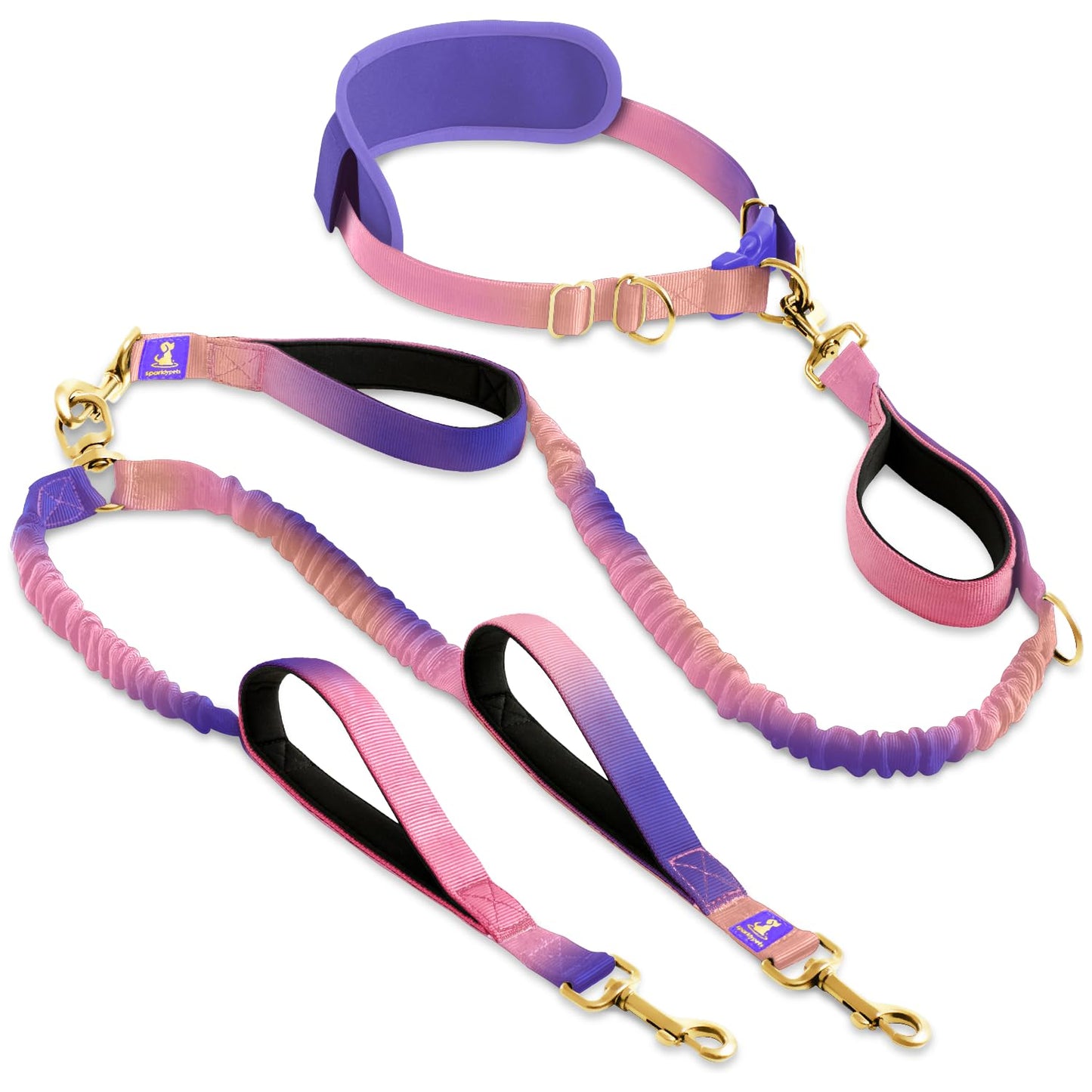 Reflective Dog Leash for Training & Outdoor Activities