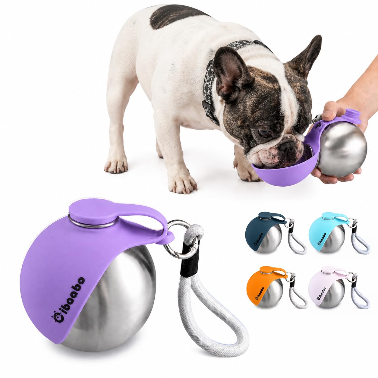 Portable Dog Water Bottle with Collapsible Bowl