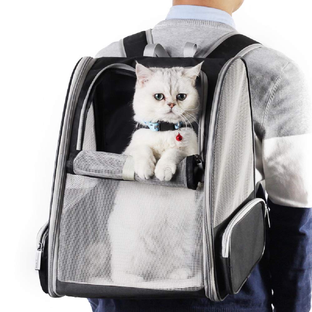 Bubble Pet Carrier Backpack for Cats & Dogs