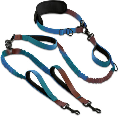 Reflective Dog Leash for Training & Outdoor Activities