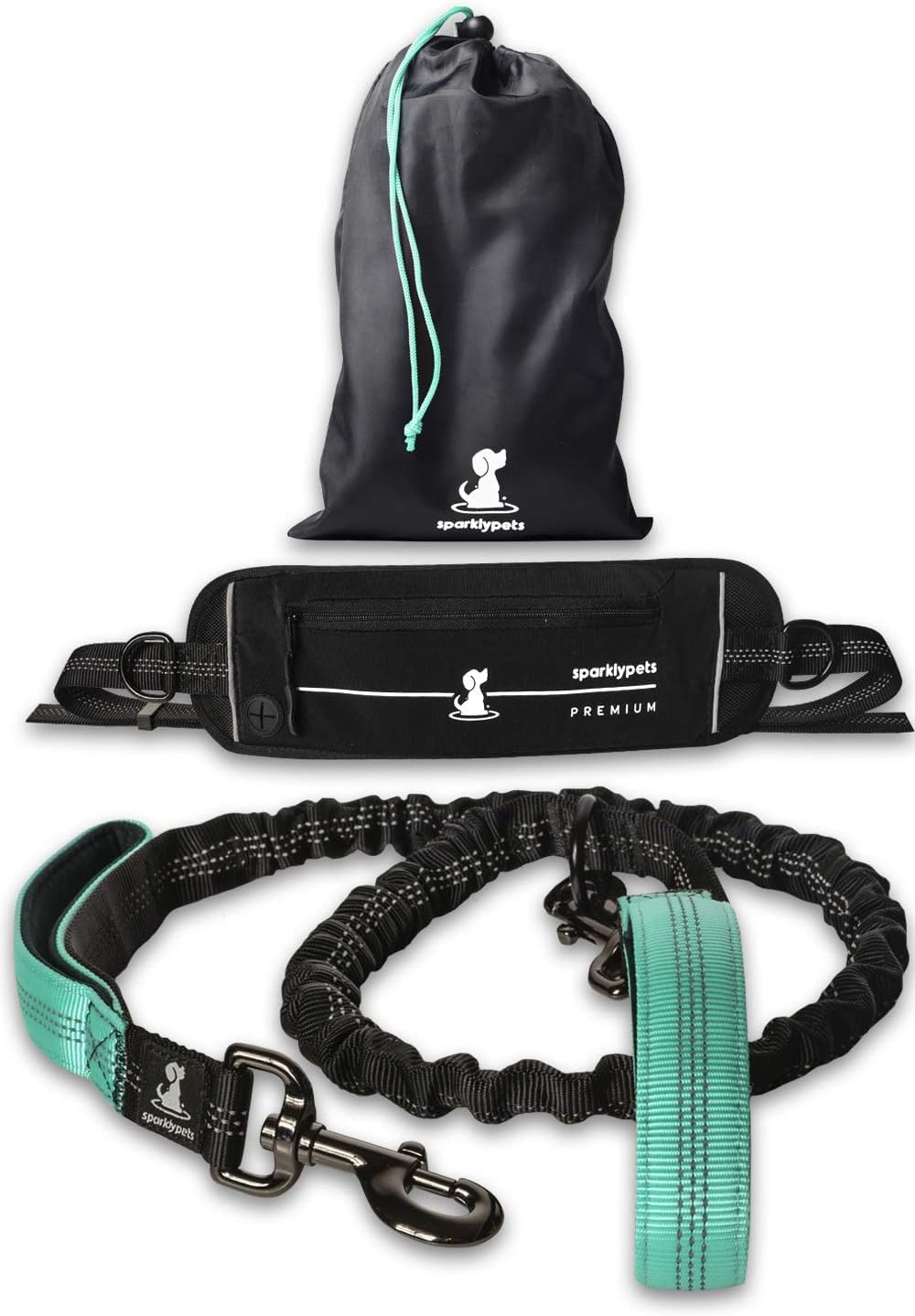 Reflective Dog Leash for Training & Outdoor Activities