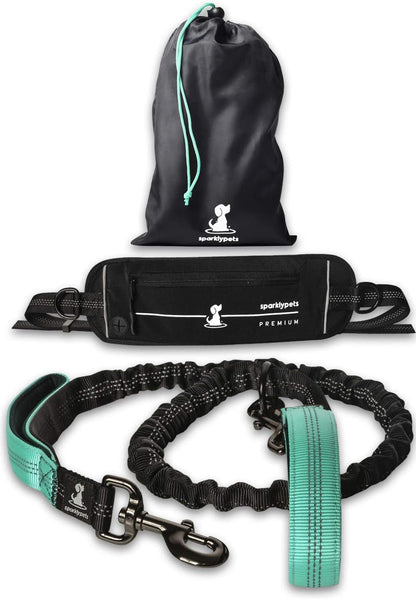 Reflective Dog Leash for Training & Outdoor Activities