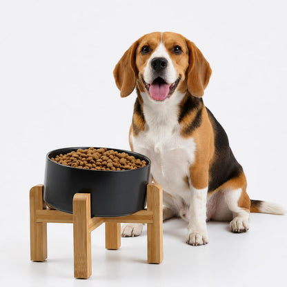 Petygooing Raised/Elevated 15°Slanted Ceramic Dog Bowl with Wooden Stand,Tilted Anti Slip Pet Feeding Bowl,Bulldog Food Water Dish for Cats and Small Medium Large Breeds