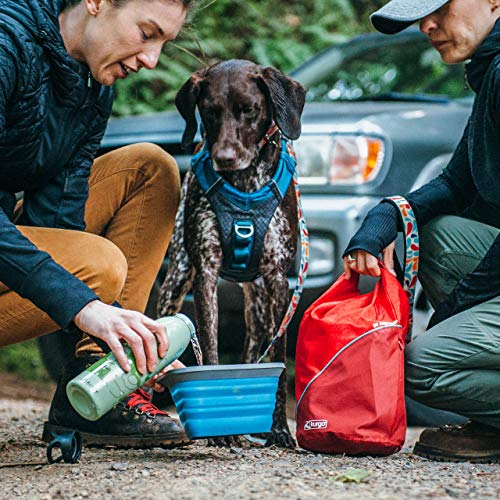 Foldable Dog Food Travel Container for Camping & Trips