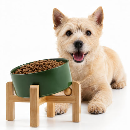 Petygooing Raised/Elevated 15°Slanted Ceramic Dog Bowl with Wooden Stand,Tilted Anti Slip Pet Feeding Bowl,Bulldog Food Water Dish for Cats and Small Medium Large Breeds