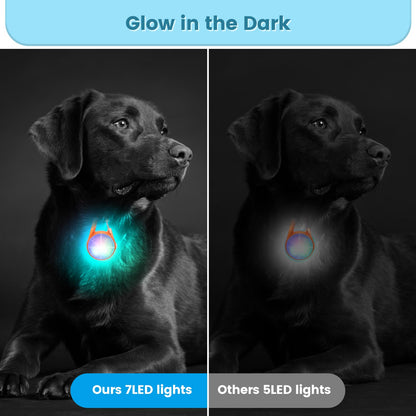Dog Collar Lights for Night Walking