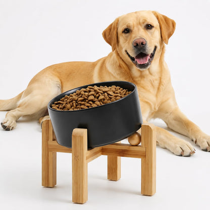 Petygooing Raised/Elevated 15°Slanted Ceramic Dog Bowl with Wooden Stand,Tilted Anti Slip Pet Feeding Bowl,Bulldog Food Water Dish for Cats and Small Medium Large Breeds
