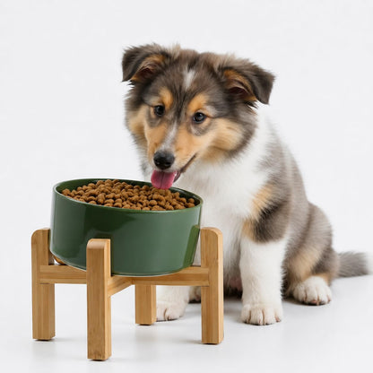 Petygooing Raised/Elevated 15°Slanted Ceramic Dog Bowl with Wooden Stand,Tilted Anti Slip Pet Feeding Bowl,Bulldog Food Water Dish for Cats and Small Medium Large Breeds