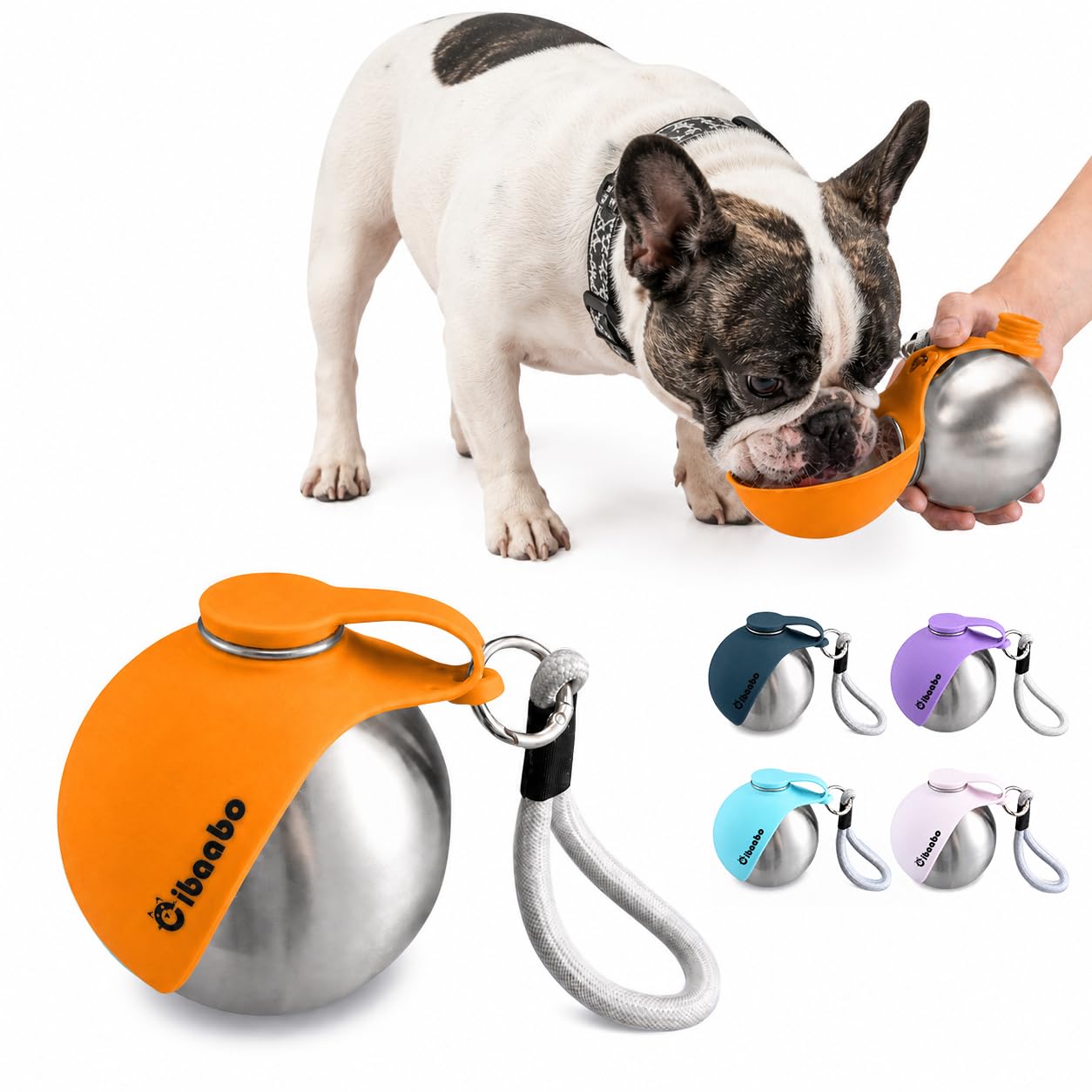 Portable Dog Water Bottle with Collapsible Bowl