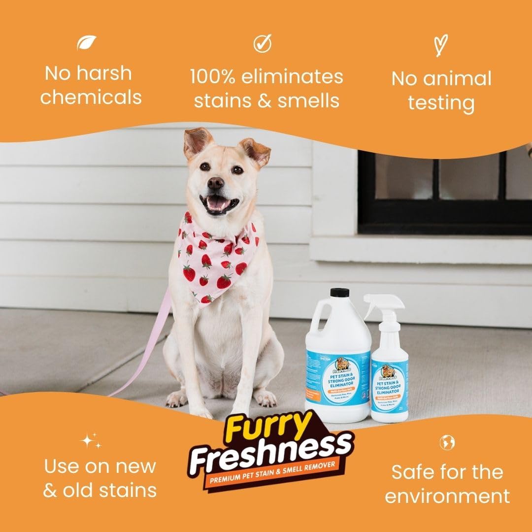 Pet Stain & Odor Remover for Urine and Accidents