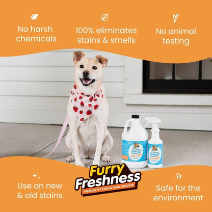Pet Stain & Odor Remover for Urine and Accidents