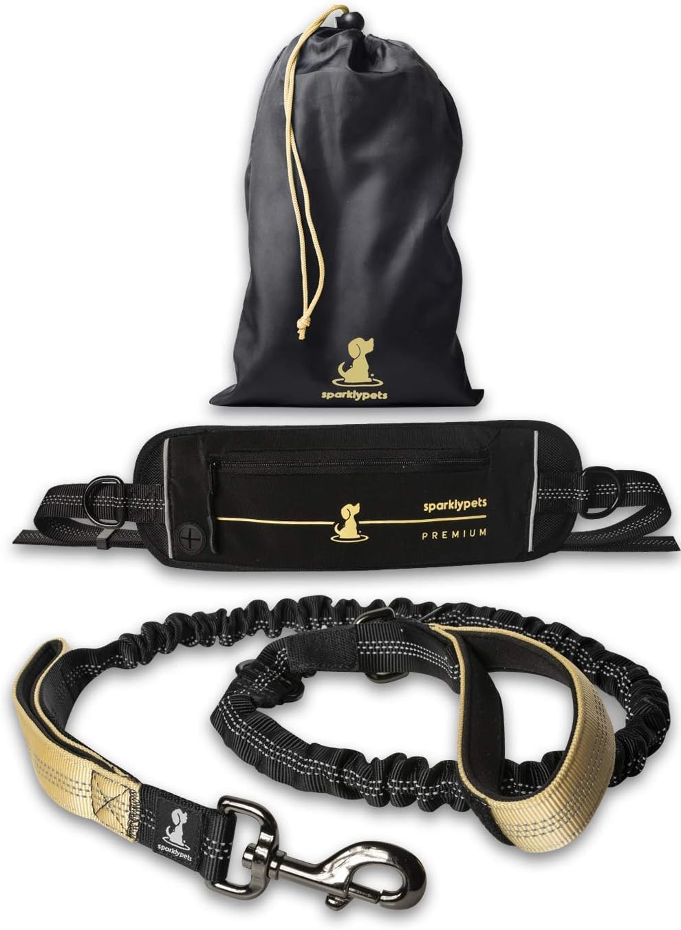 Reflective Dog Leash for Training & Outdoor Activities