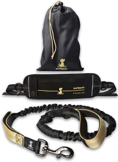 Reflective Dog Leash for Training & Outdoor Activities