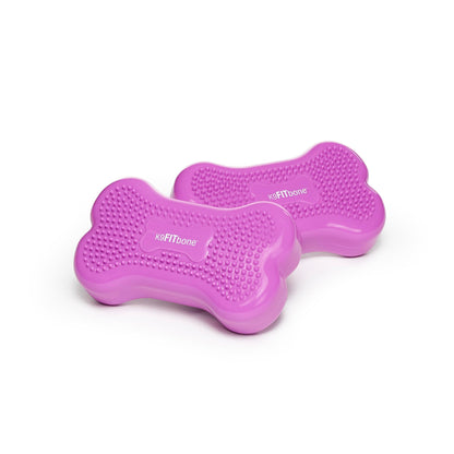 FitPaws® Mini K9FITbone® Dog Balance Platform, Core Stability Tool, 2-Pack