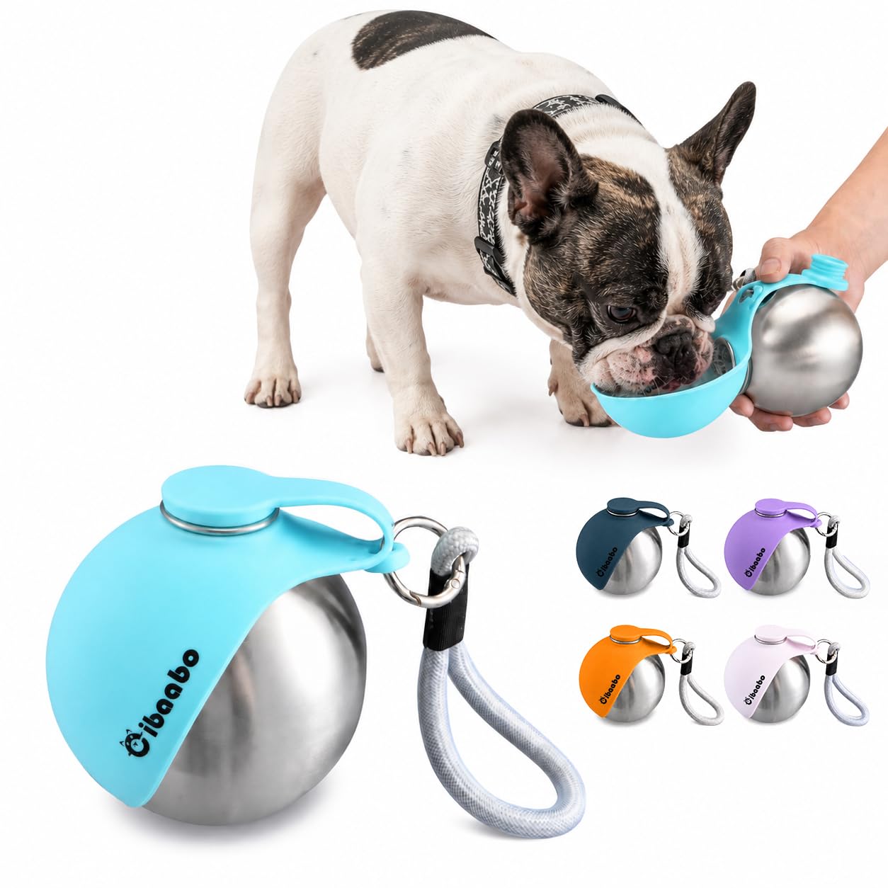 Portable Dog Water Bottle with Collapsible Bowl