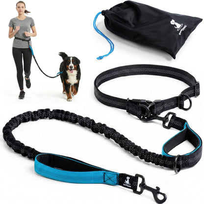 Reflective Dog Leash for Training & Outdoor Activities