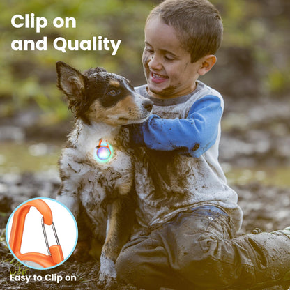 Dog Collar Lights for Night Walking