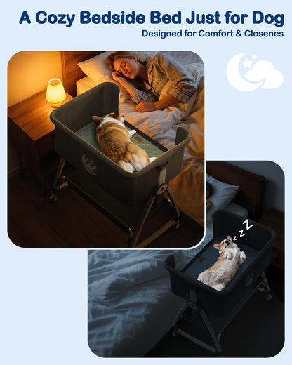 Adjustable Elevated Dog Bed for Small & Medium Dogs