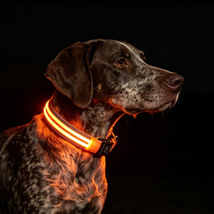 PetIsay Dog Light up Collar for Night Walking - High Visibility LED Dog Collar - Rechargeable - Waterproof - Reflective - Adjustable Lighted Glow Collars