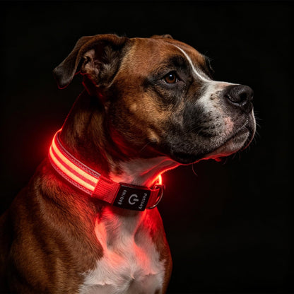 PetIsay Dog Light up Collar for Night Walking - High Visibility LED Dog Collar - Rechargeable - Waterproof - Reflective - Adjustable Lighted Glow Collars