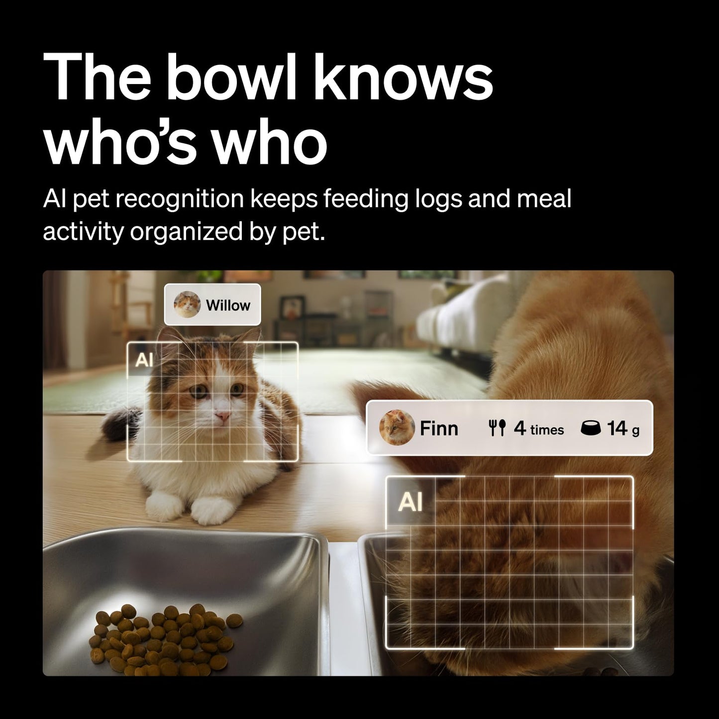 PETLIBRO Automatic Camera Cat Feeder Granary 2 Vision with Desiccant Bag