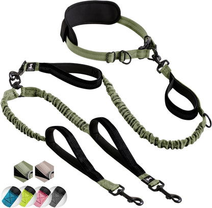 Reflective Dog Leash for Training & Outdoor Activities