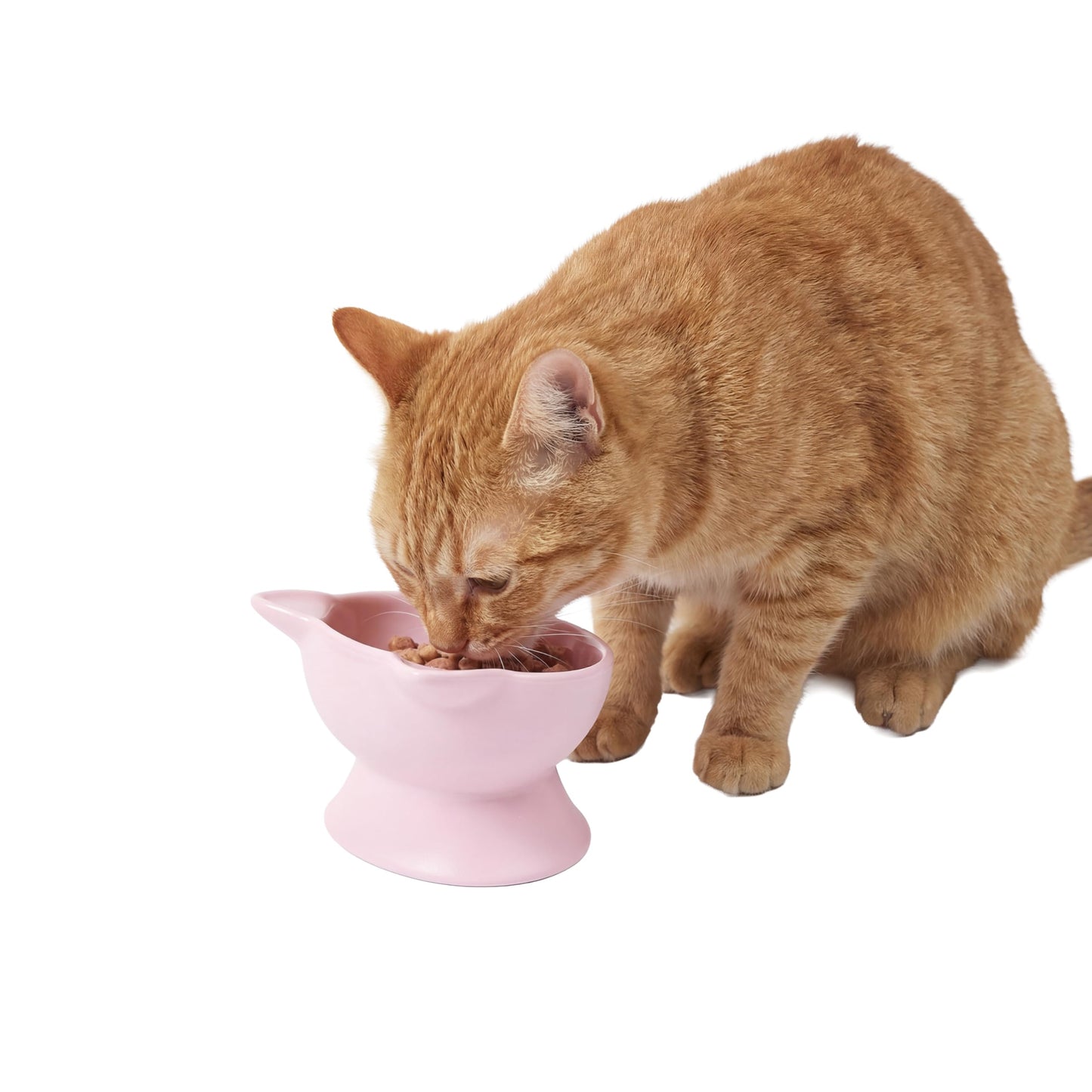 Kitty City Elevated Cat Bowls (Set of 2), Whisker-Friendly Raised Cat Food & Water Dishes, Modern Pedestal Design, Dishwasher Safe