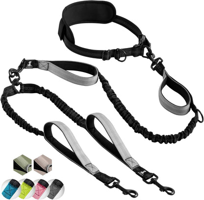 Reflective Dog Leash for Training & Outdoor Activities
