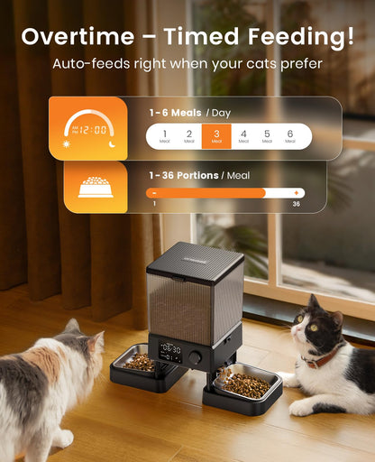 oneisall Automatic Cat Feeder for 2 Cats, Automatic Cat Food Dispenser for 2 Cats Small Pets, 20 Cups/5L