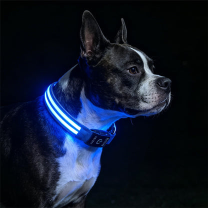 PetIsay Dog Light up Collar for Night Walking - High Visibility LED Dog Collar - Rechargeable - Waterproof - Reflective - Adjustable Lighted Glow Collars