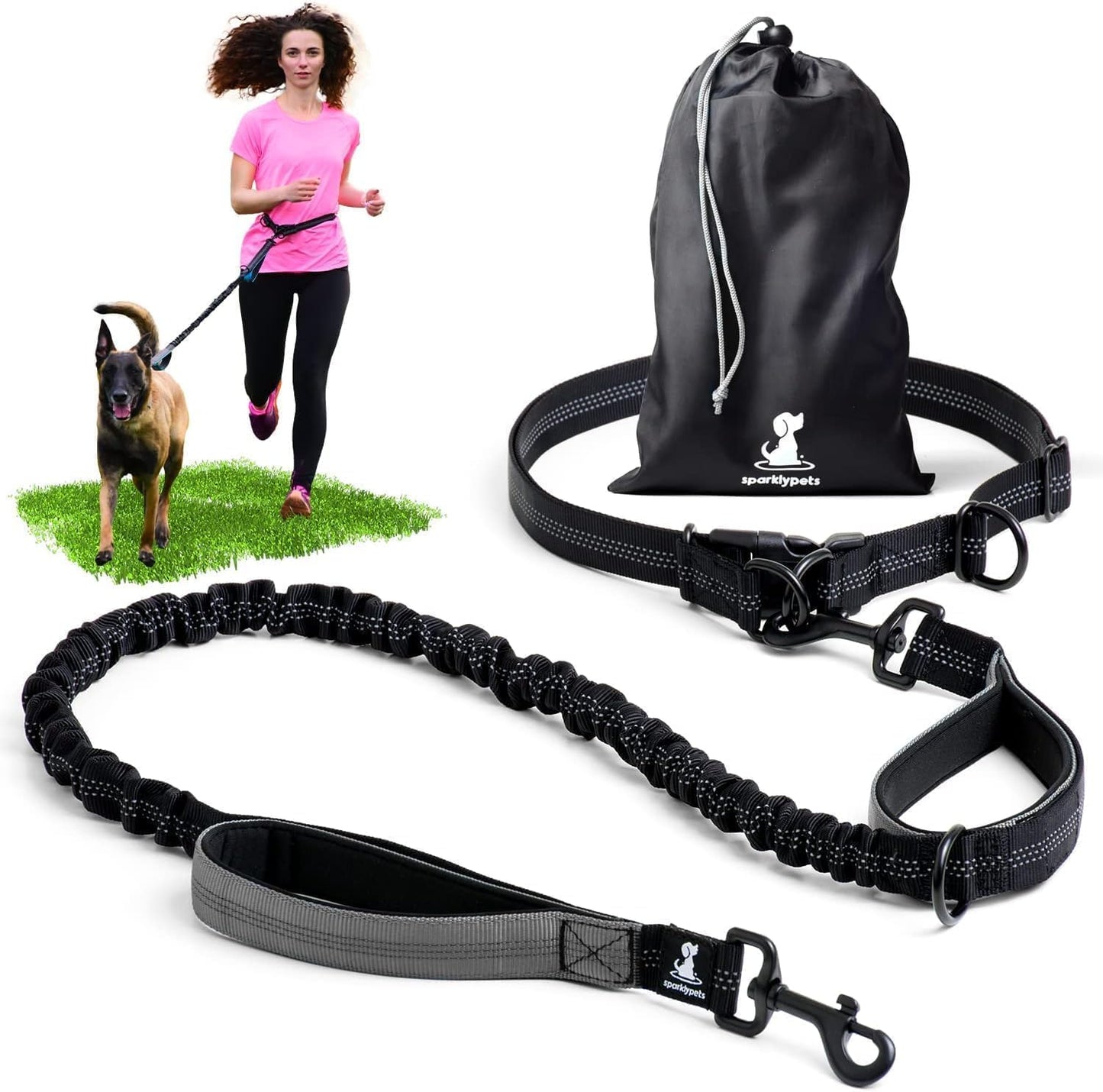 Reflective Dog Leash for Training & Outdoor Activities
