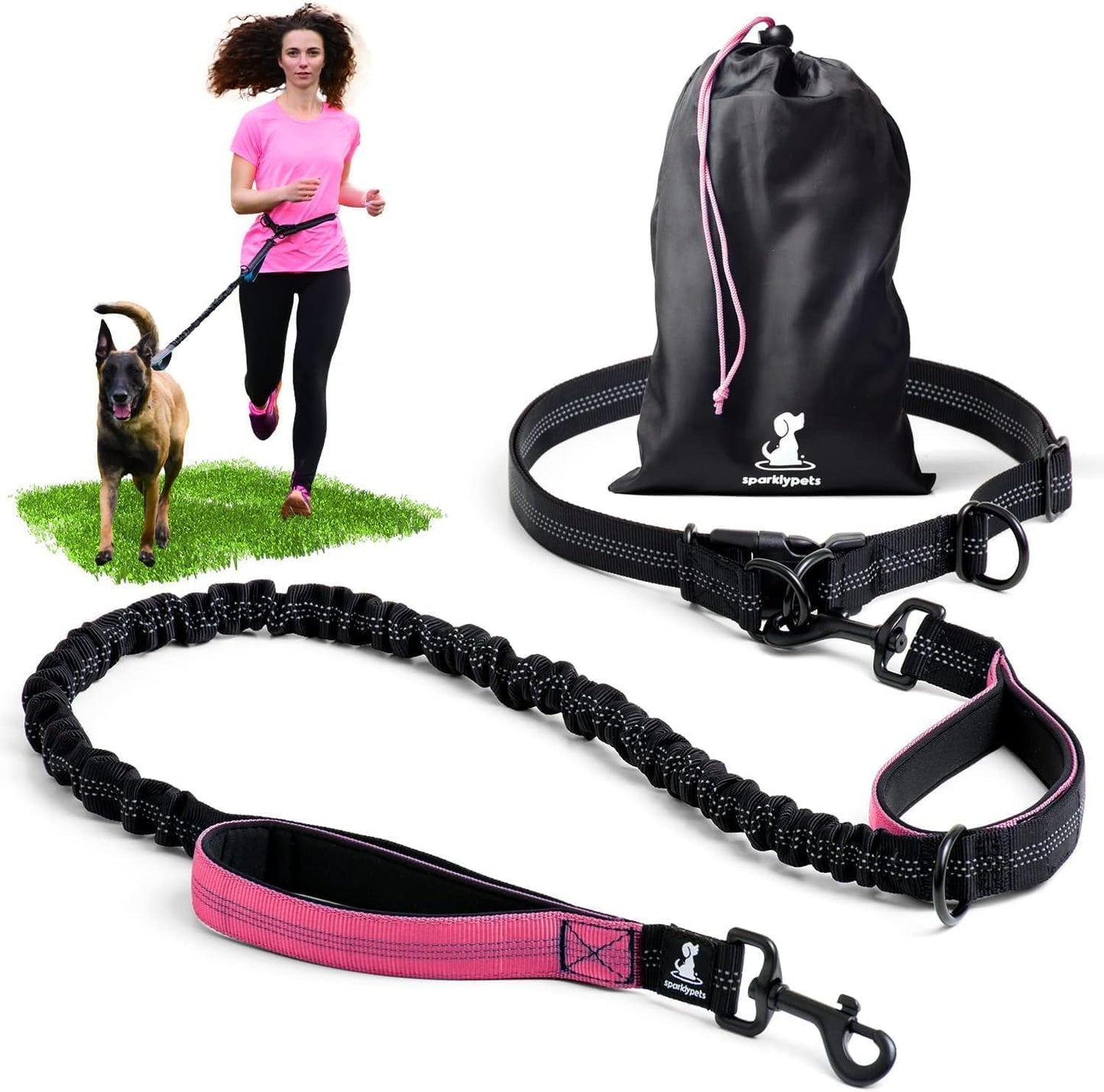 Reflective Dog Leash for Training & Outdoor Activities