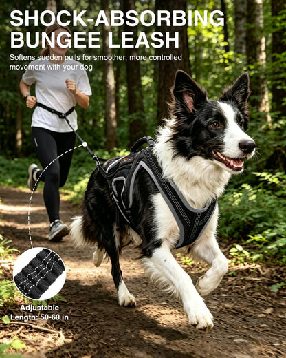 Dog Running Harness Set with Shock Absorbing Leash