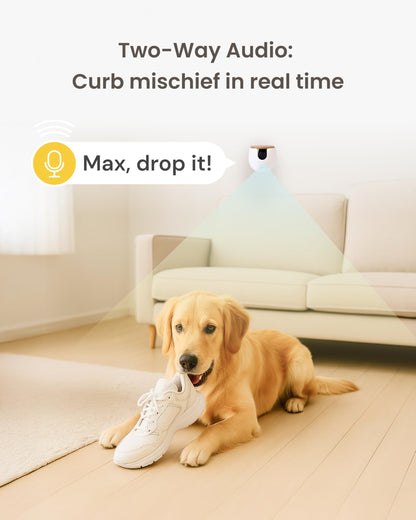 Furbo Pet Camera w/Subscription Required