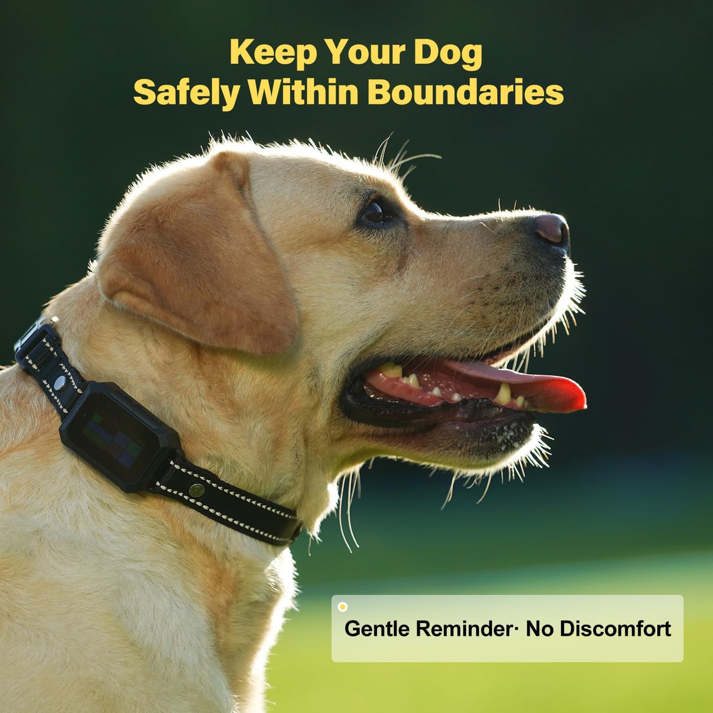 GPS Wireless Dog Collar Fence System