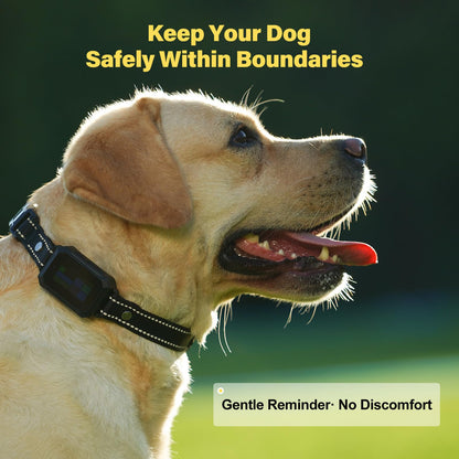 GPS Wireless Dog Collar Fence System
