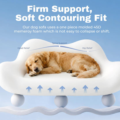 Modern Dog Sofa with Wooden Legs