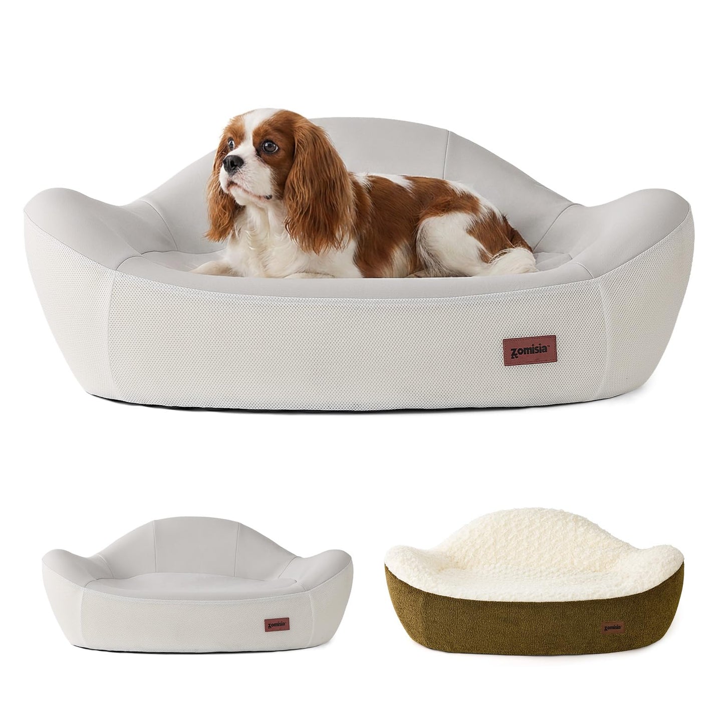 Modern Dog Sofa with Wooden Legs
