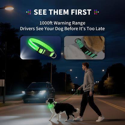 PetIsay Dog Light up Collar for Night Walking - High Visibility LED Dog Collar - Rechargeable - Waterproof - Reflective - Adjustable Lighted Glow Collars